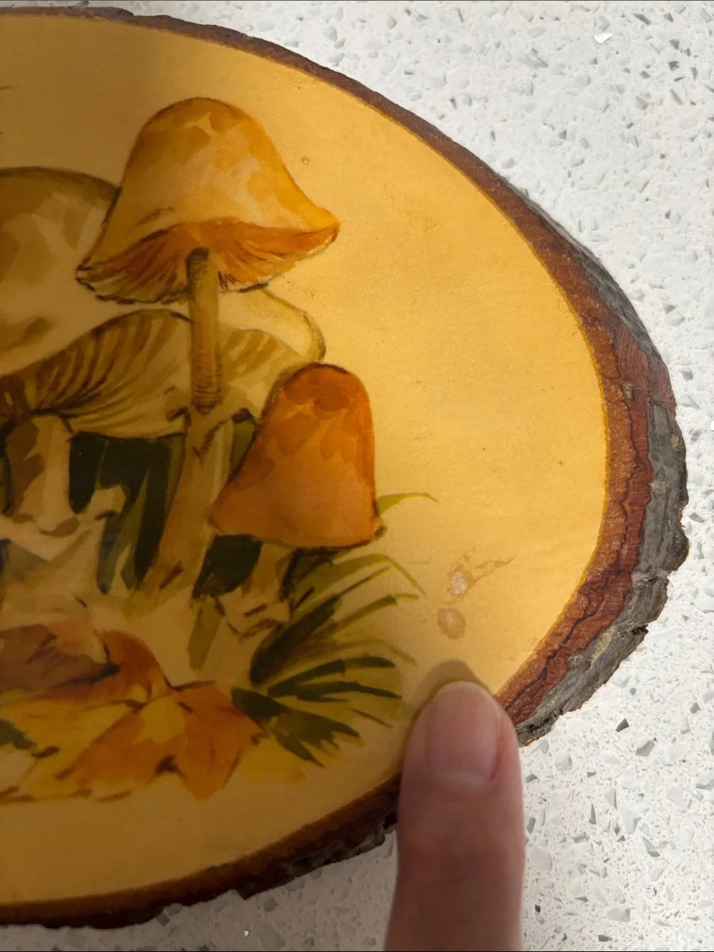 VTG 70’s Rustic Yellow Mushroom & Mouse Oval Wood Slice Decoupage Wall Plaque